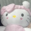 푸우딩 이미지