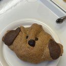 퍼피하우스 이미지