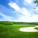 골프니스 이미지