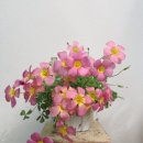 엠에이치알 이미지