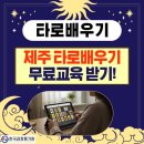 [학습카페] 타로카드 상담 입문과정 | 제주타로배우기 입문부터 자격증까지 쉽게