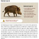 땅통종주 13구간(유둔재-방아재) 산행후기...멧돼지를 만나다. 이미지