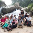 흰돌농장 이미지