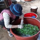 얼쑤농장 이미지