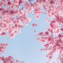 메이트호텔 이미지