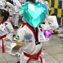 월천백호태권도장 이미지