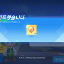 플라잉펫 이미지