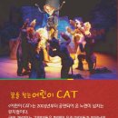 어린이 CAT 이미지