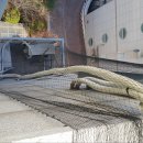 여월프라자 이미지