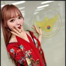와이즈라이온