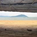 갯마을횟집 - 청주시 상당구 쇠내로 36-3 | [보성, 율포] 율포해수욕장 맛집 갯마을횟집 막회 솔직후기, 현지인도 찾는 찐맛집