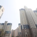 세영공인중개사사무소 이미지