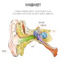 코모키이비인후과 이미지
