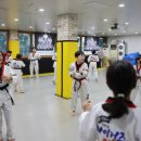 용인대 안산 타이거즈 태권도장 이미지