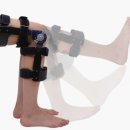 FA sports | 전방십자인대(ACL)의 부상과 재건술 그리고 재활 과정