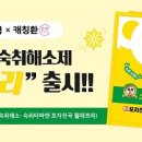 꽐라포차 이미지