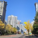 용산-이촌-358 이미지