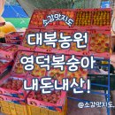 대복농장 | 영덕 영덕군농축산물직판장 대복농원 복숭아 내돈내산!