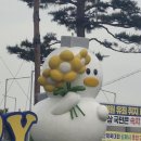 마시조코