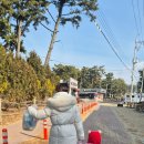 몽산포랑바다랑 | 겨울 몽산포해수욕장 아이랑 다녀온 후기｜바다 산책·갯벌 체험 #겨울몽산포해수욕장 #몽산포해수욕장...