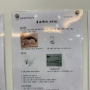 연세사랑소아청소년과의원 이미지