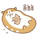 피자명인나주점 이미지