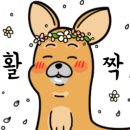 신화상회 이미지