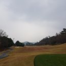 골프마루 이미지