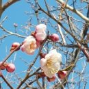 수원-0846 이미지