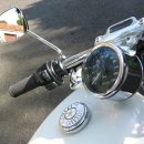 가비조아 이미지