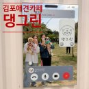 김포 애견카페 추천 🐶 잔디 운동장이 예쁜 댕그린 다녀온 후기