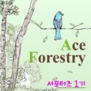 그린임업