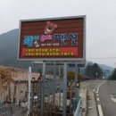 곰돌이 워터 펜션 이미지
