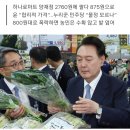 대파 한 단 갑자기 875원…윤 대통령 온 날 ‘맞춤형 가격표’ 이미지