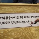 외옹치생태찌개