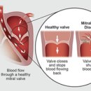 24시폴동물병원 이미지