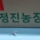 정진농장 이미지