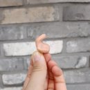 세종보청기 이미지