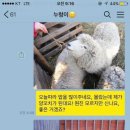 친구양꼬치 이미지