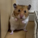 복싱,여성다이어트복싱,여성복싱다이어트,여성복싱미트트레이닝,여성복싱PT,부평크로스핏,부개크로스핏
