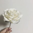 소랑꽃 이미지