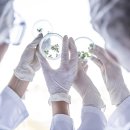 더영메디 이미지