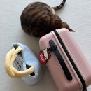 냥이는꿀꿀 | [부산여행] 뜻밖의 맛도리 탐험(예도랑, 플라잉드레곤, 진돼지곰탕, 어탕국수, 이재모피자)