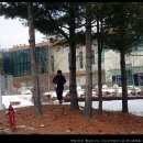 기배기 네이버블로그