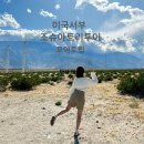 엄마랑 미국 서부 자유여행 | 모아트립 조슈아 트리 투어 추천 경준 실장님 후기