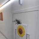 경희대 제2기숙사 국제캠퍼스 원룸 찾아보고 결정한 수원 영통 원룸