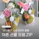 하s뷰티샵 이미지