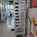 파블박사 이미지