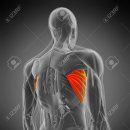 파모스짐 이미지