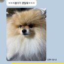 퍼플댕댕 | 2026년 2월 일상